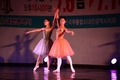 춤으로 꿈꾸는 세상, 서대전공원에서 열리는 대전시민무용축전 